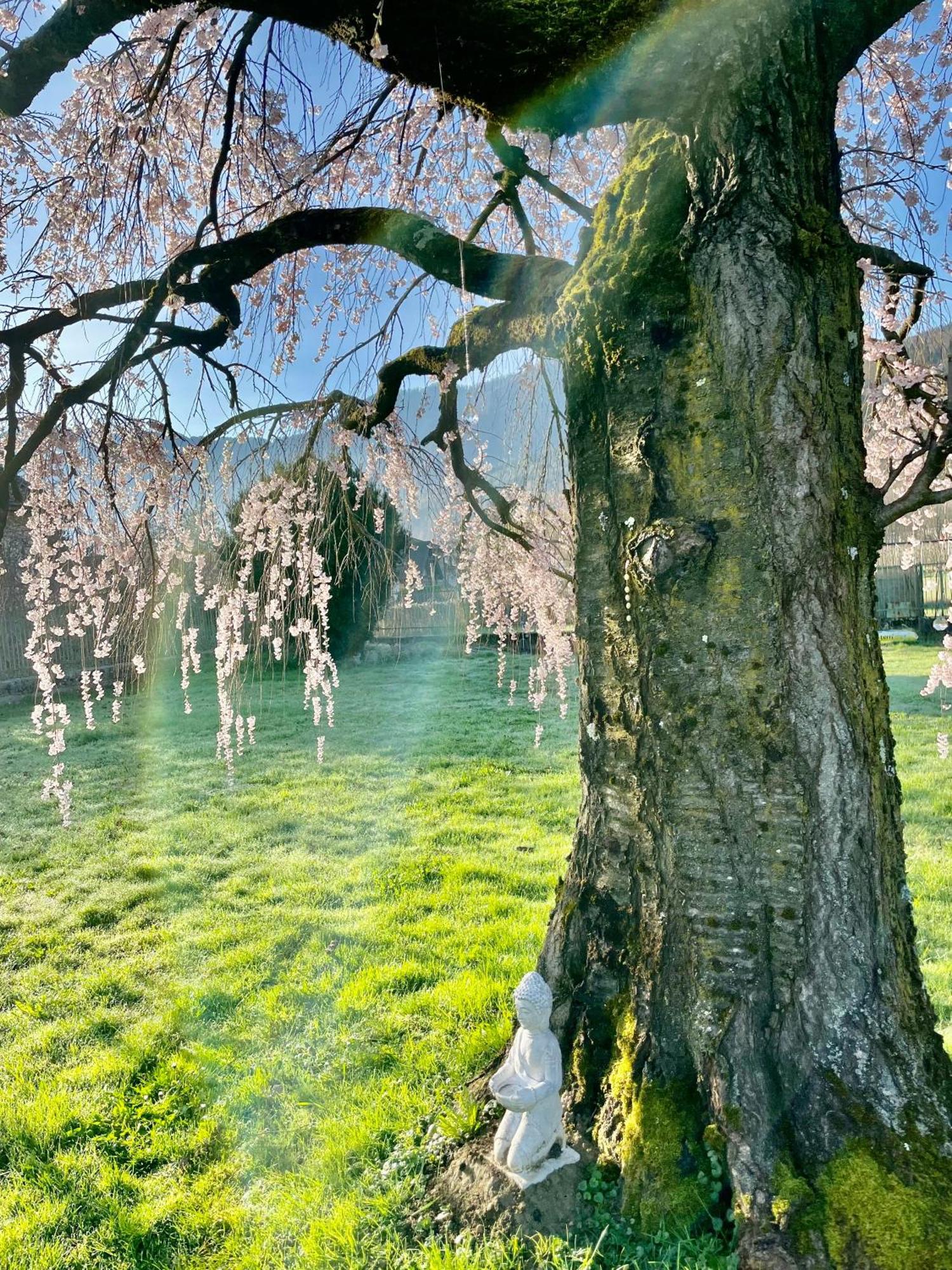 Paradiso Sul Lago Calceranica al Lago Eksteriør billede